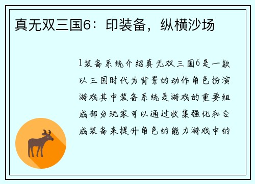 真无双三国6:印装备,纵横沙场 真无双三国6:印装备,纵横沙场